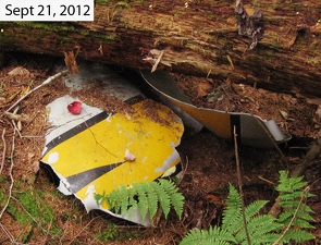 590078 Crash Site 2012