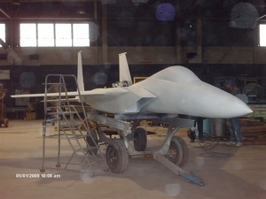 DET-1 318th FIS F-15 Fiberglass Model