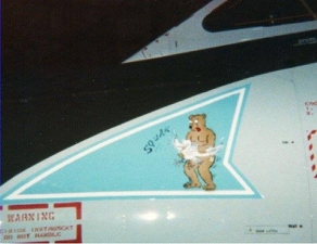 572505 Unexpected Nose Art