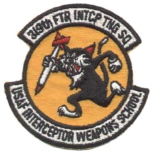  Patch 319th FITS IWS