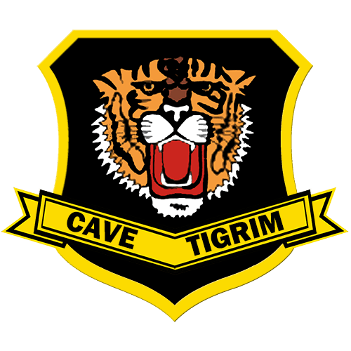 460 FIS Patch
