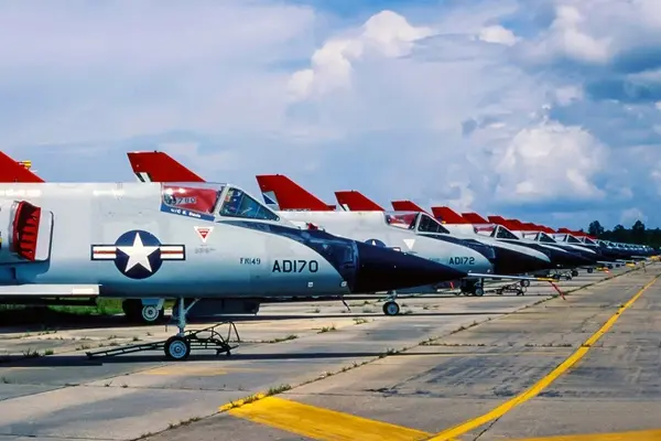 Drone Survivors known as Swamp Things