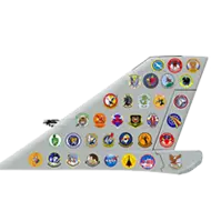 F-106 Delta Dart Units Tail Flash Icon