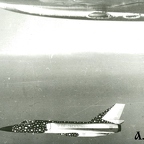 580760 Bear Escort