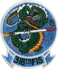  Patch 318th Patch