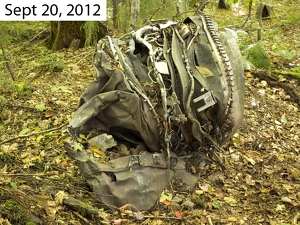 590078 Crash Site 2012