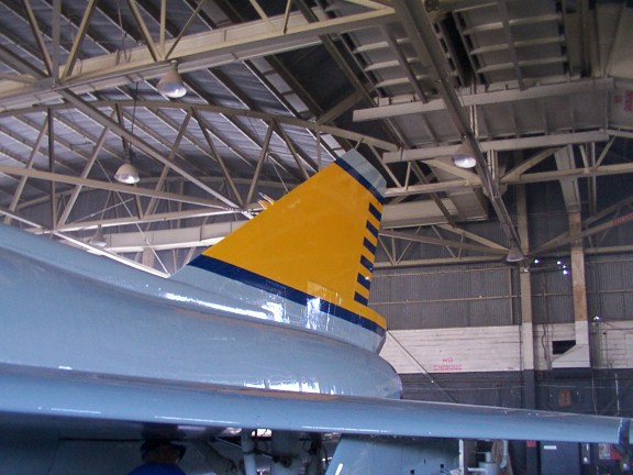 2003 580793 Painted Tail